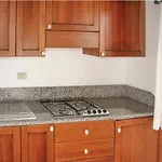 8 Deluxe Holiday home